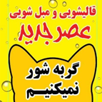 لوگو قالیشویی و مبل شویی عصر جدید
